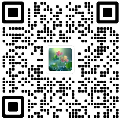 Journal of Chinese Pharmaceutical Sciences杂志模板